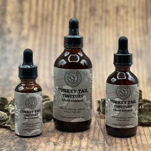 Guided By Mushrooms TurkeyTail Tincture