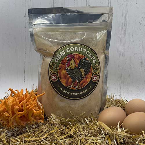 GBM Cordyceps Mushroom Poultry Feed Supplement