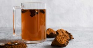 The Surprising Benefits of Chaga Mushrooms