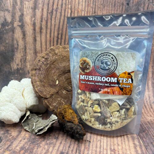 Mushroom Tea