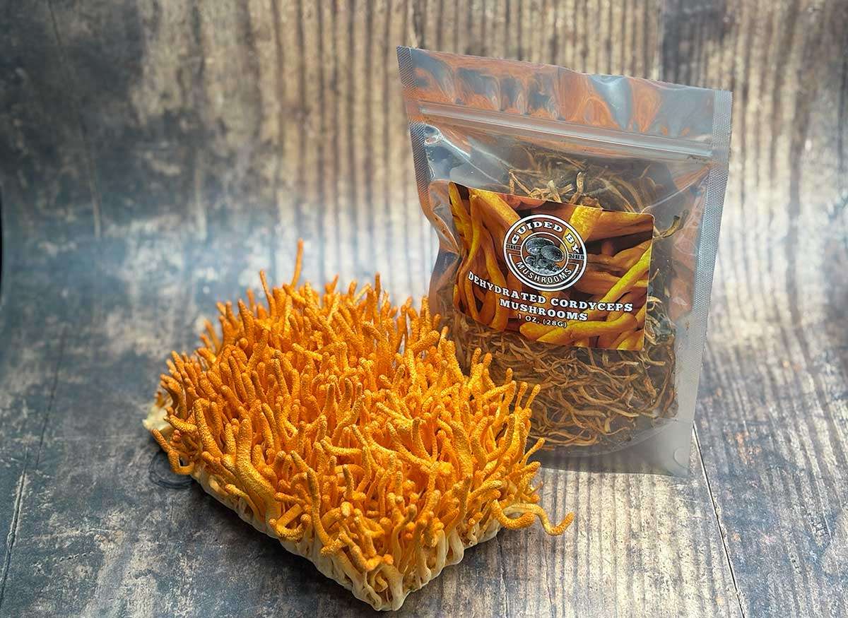 One ounce of dehydrated cordyceps mushrooms