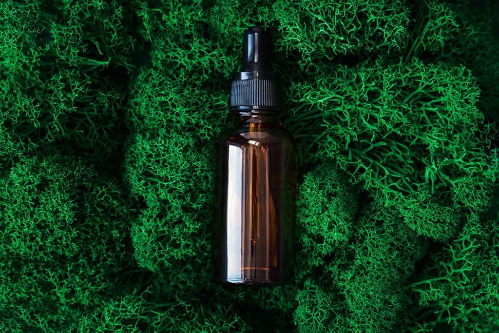 lions mane tincture dosage