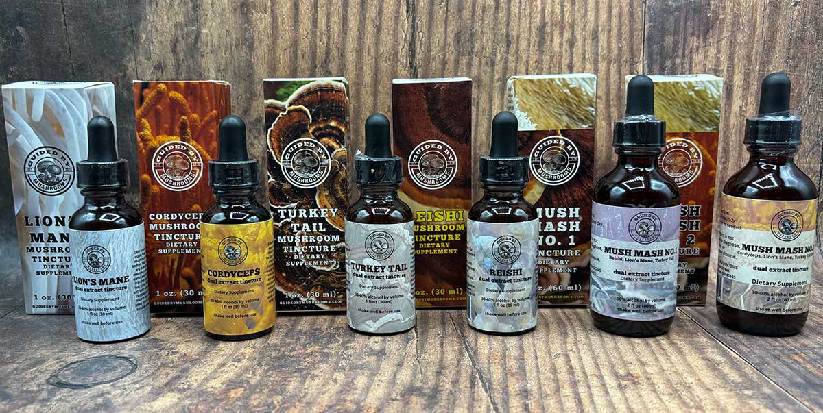 Guided By Mushrooms Tinctures