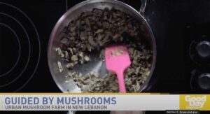 Vegan Quiche Recipe With Oyster Mushrooms