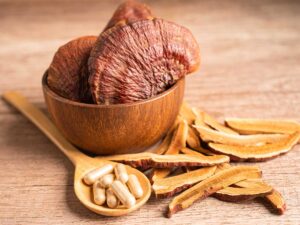 reishi mushroom supplement