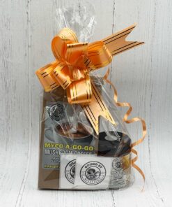 GBM Coffee Honey Combo