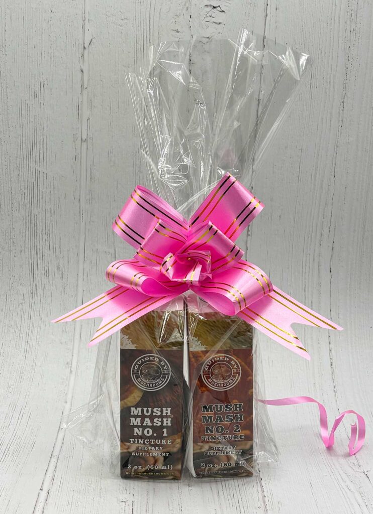 Guided By Mushrooms Mush Mash Gift Pack
